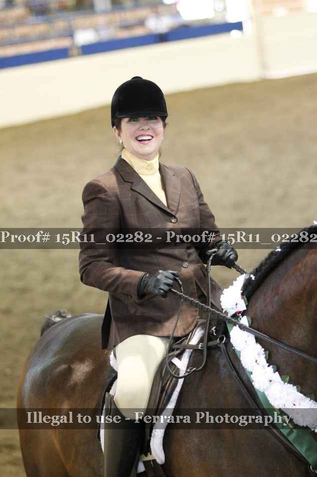 Proof Number 15R11_02282