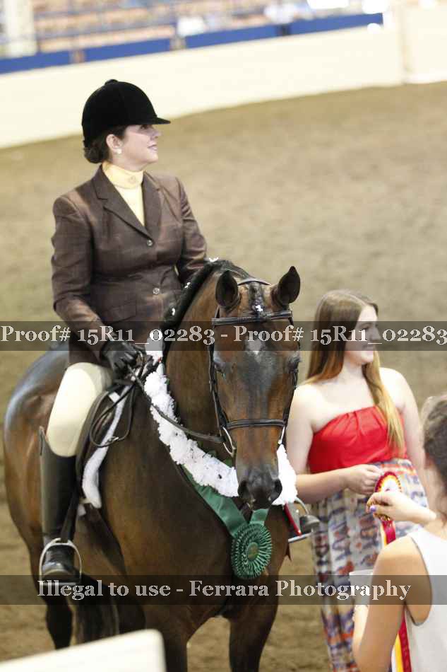 Proof Number 15R11_02283