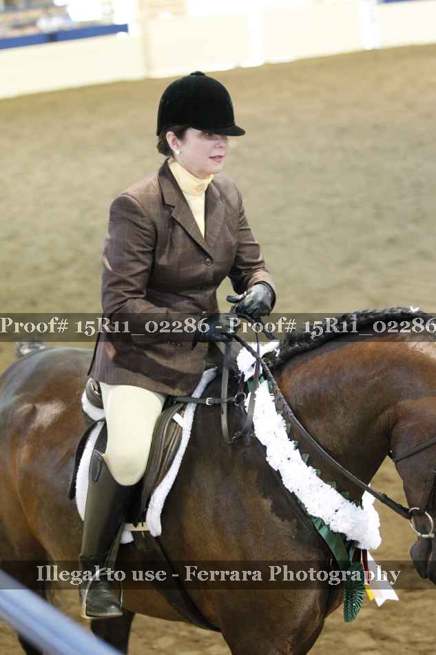 Proof Number 15R11_02286
