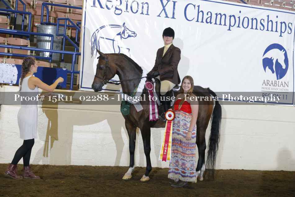 Proof Number 15R11_02288