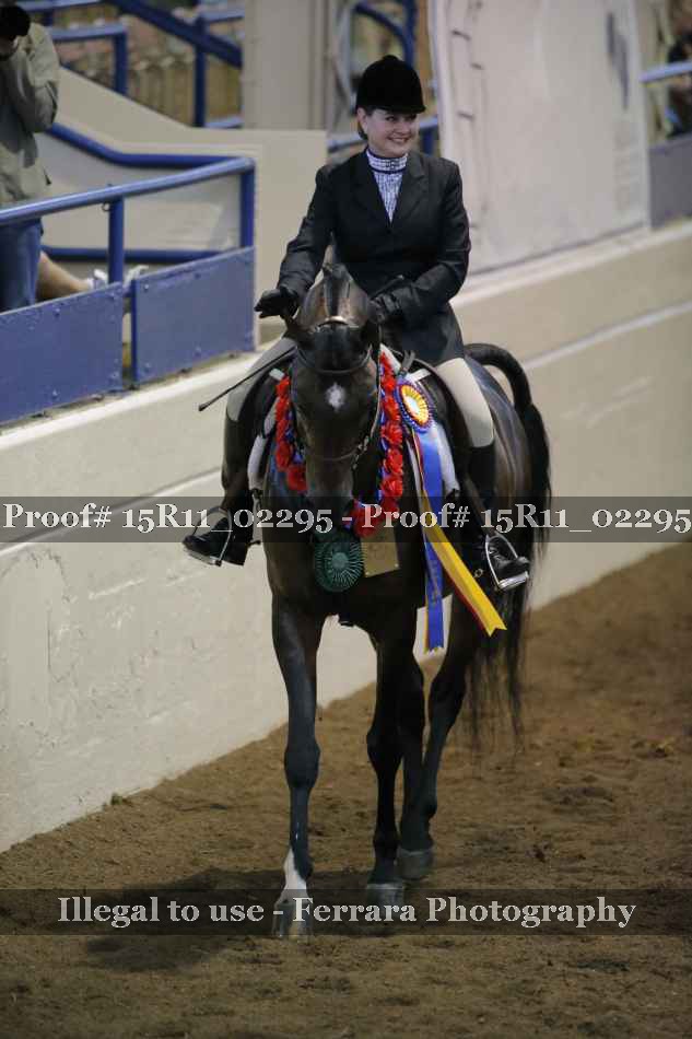 Proof Number 15R11_02295