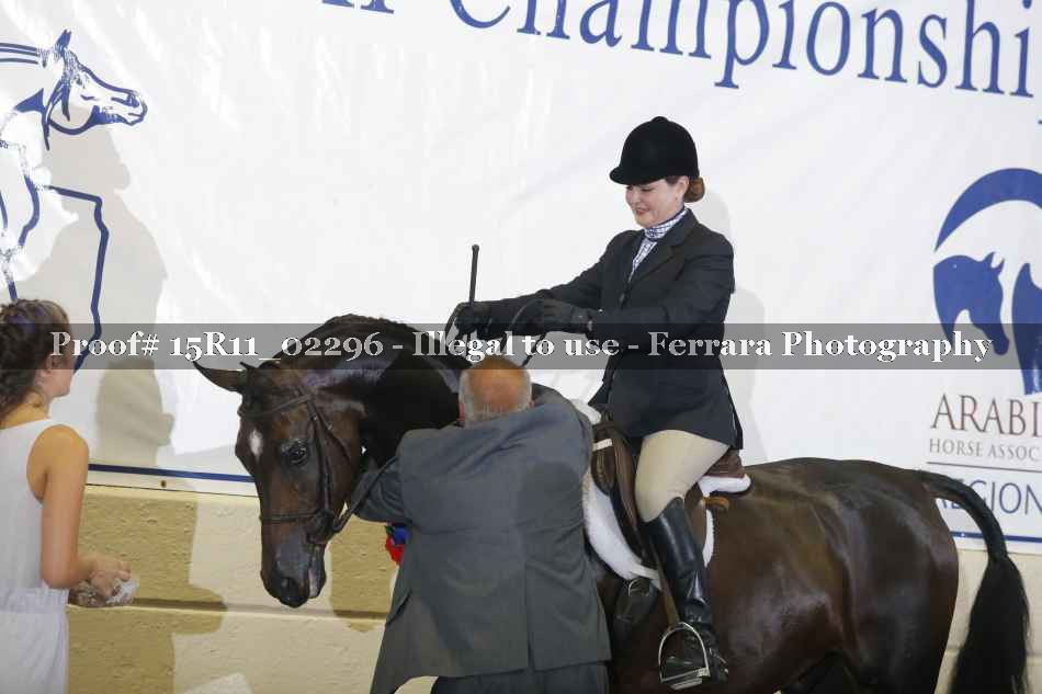 Proof Number 15R11_02296