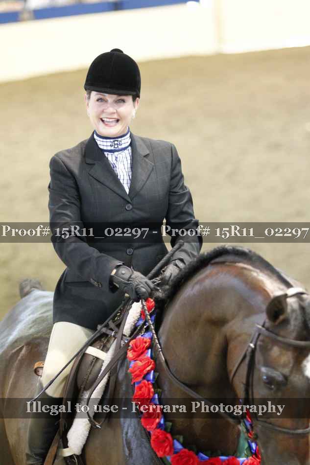 Proof Number 15R11_02297