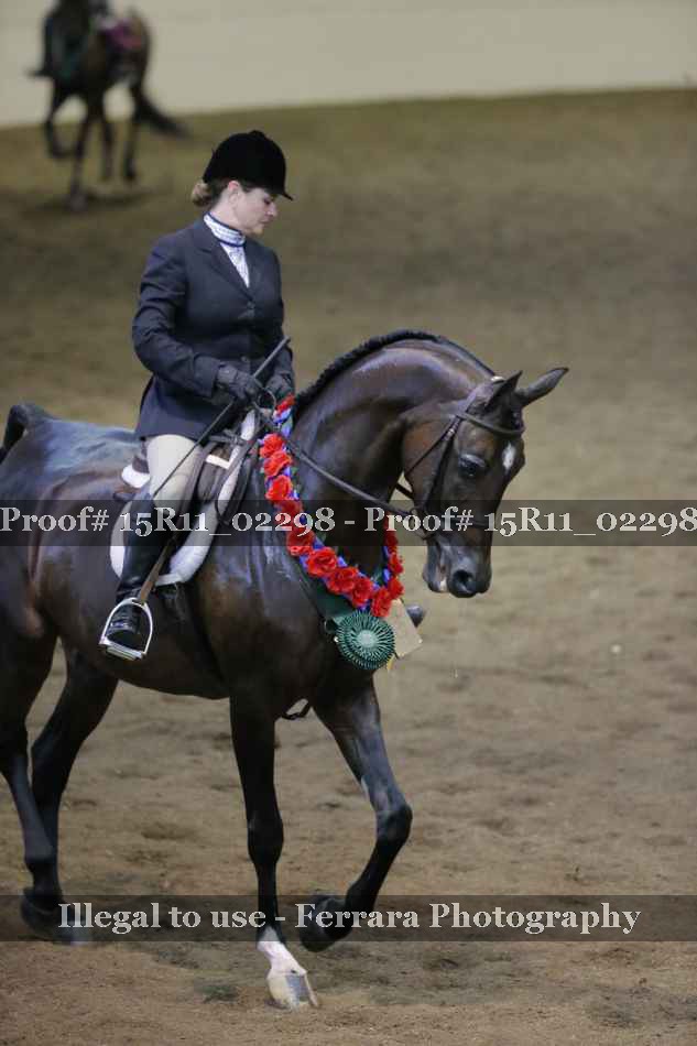 Proof Number 15R11_02298