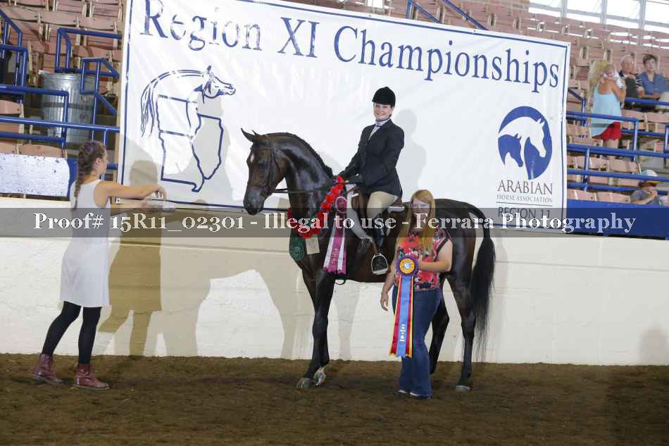 Proof Number 15R11_02301