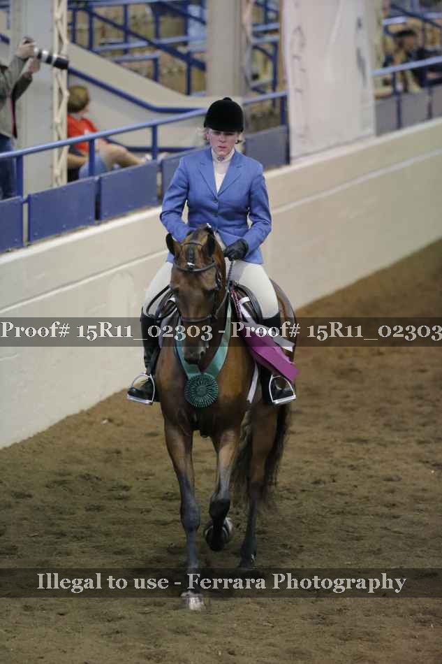 Proof Number 15R11_02303