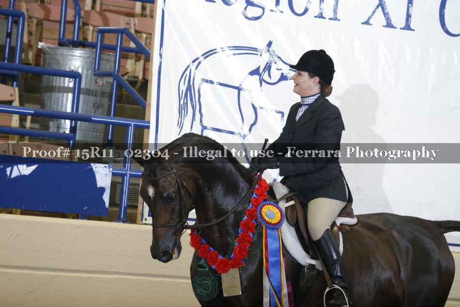 Proof Number 15R11_02304