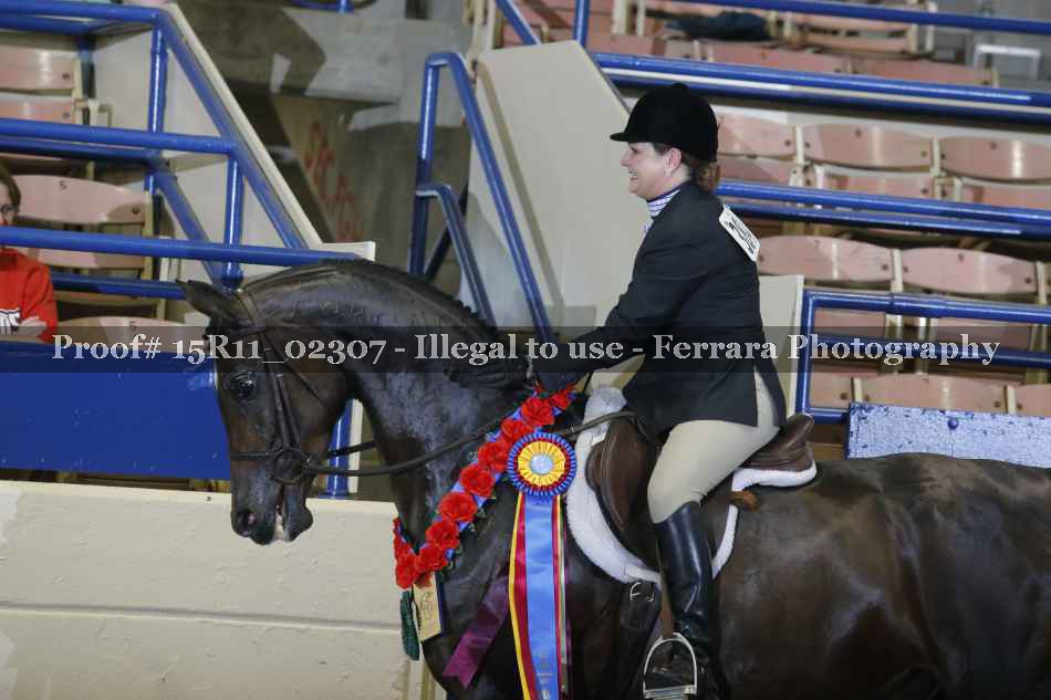 Proof Number 15R11_02307