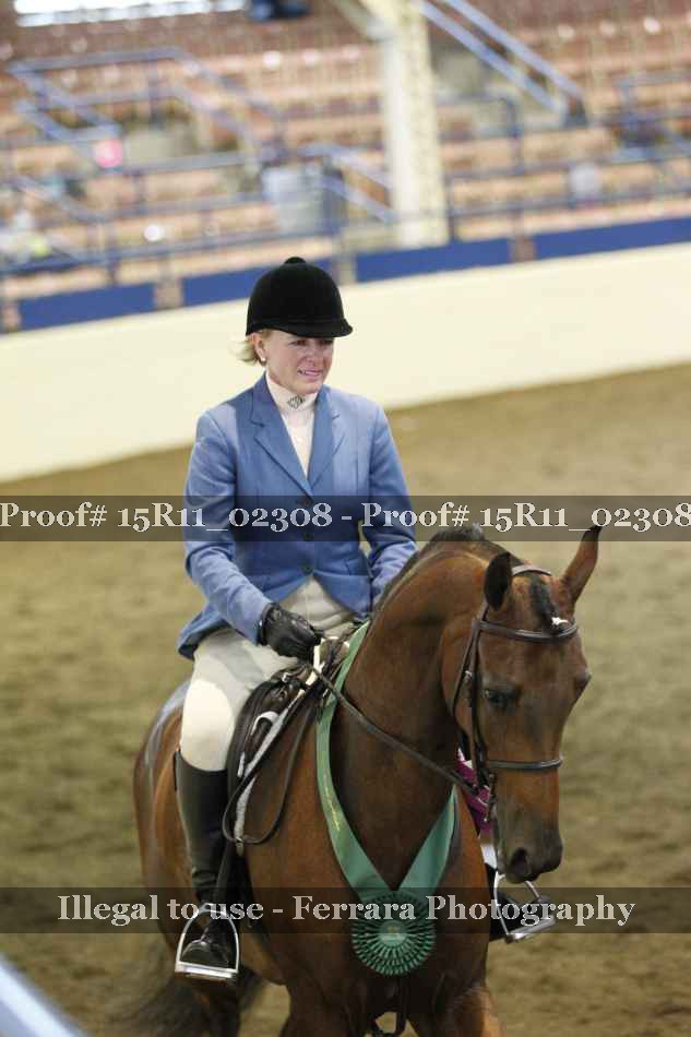 Proof Number 15R11_02308