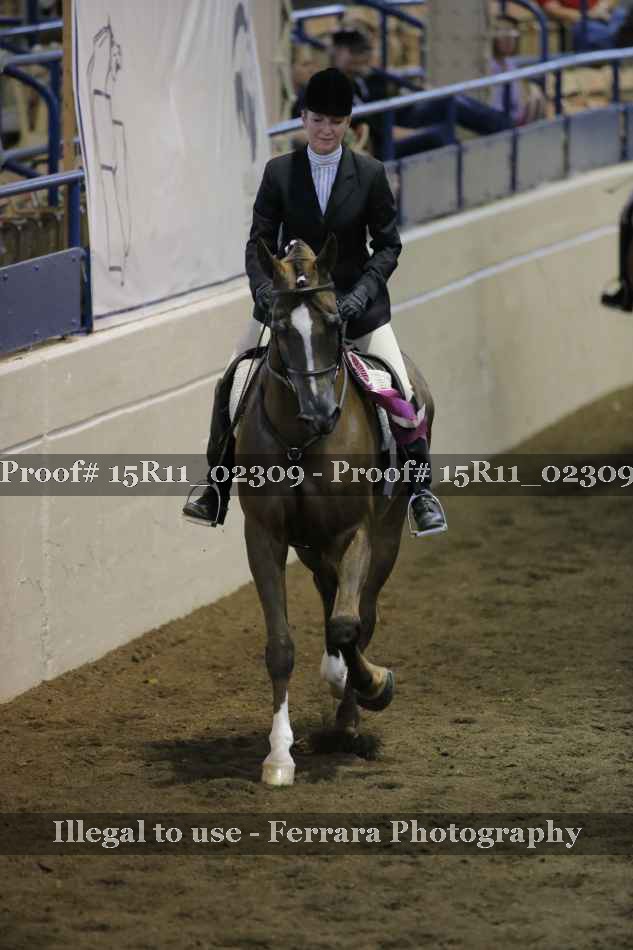 Proof Number 15R11_02309