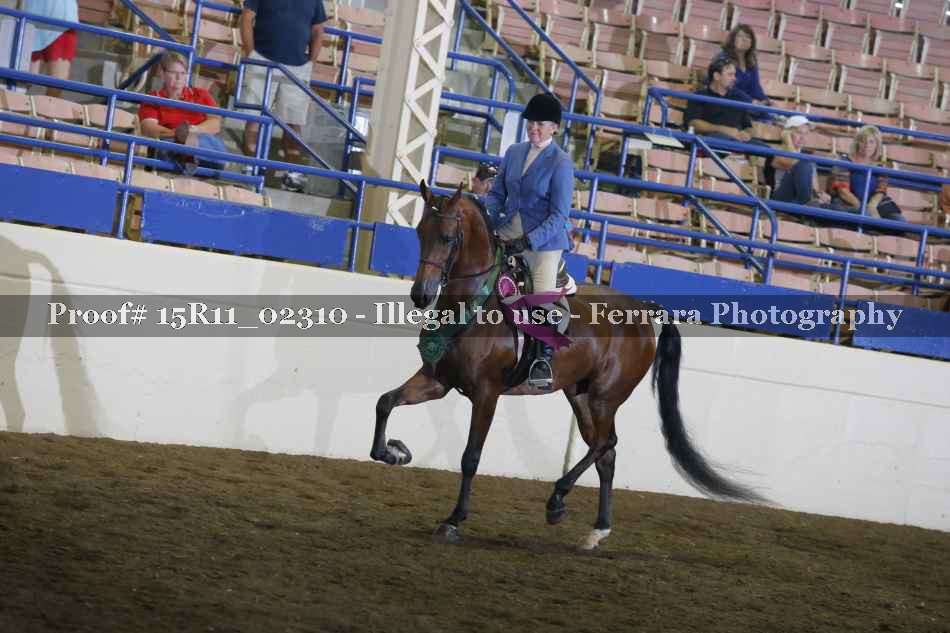 Proof Number 15R11_02310