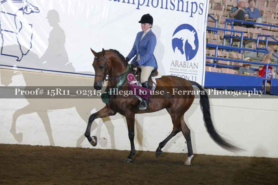 Proof Number 15R11_02315