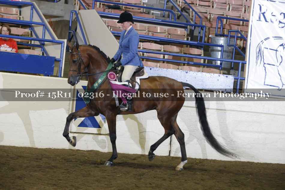 Proof Number 15R11_02316