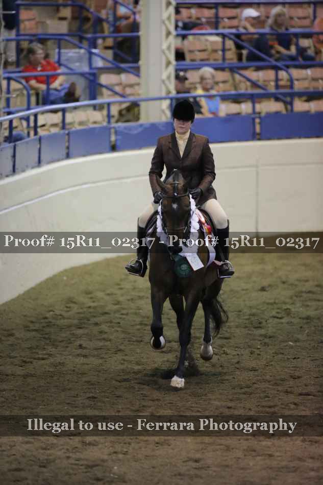 Proof Number 15R11_02317