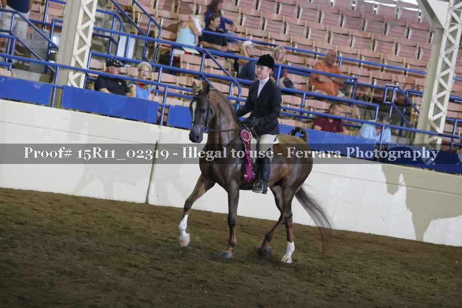 Proof Number 15R11_02319