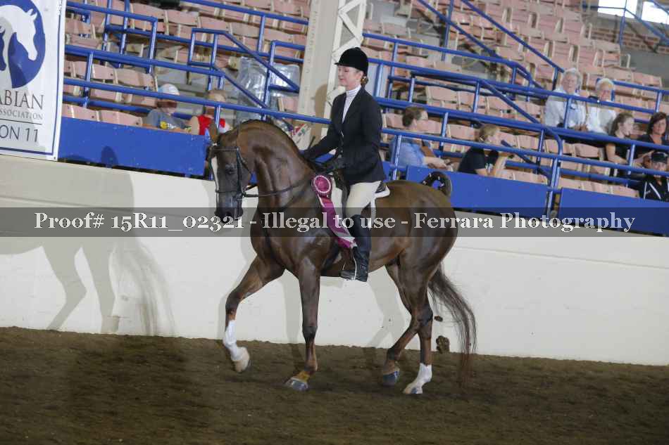 Proof Number 15R11_02321