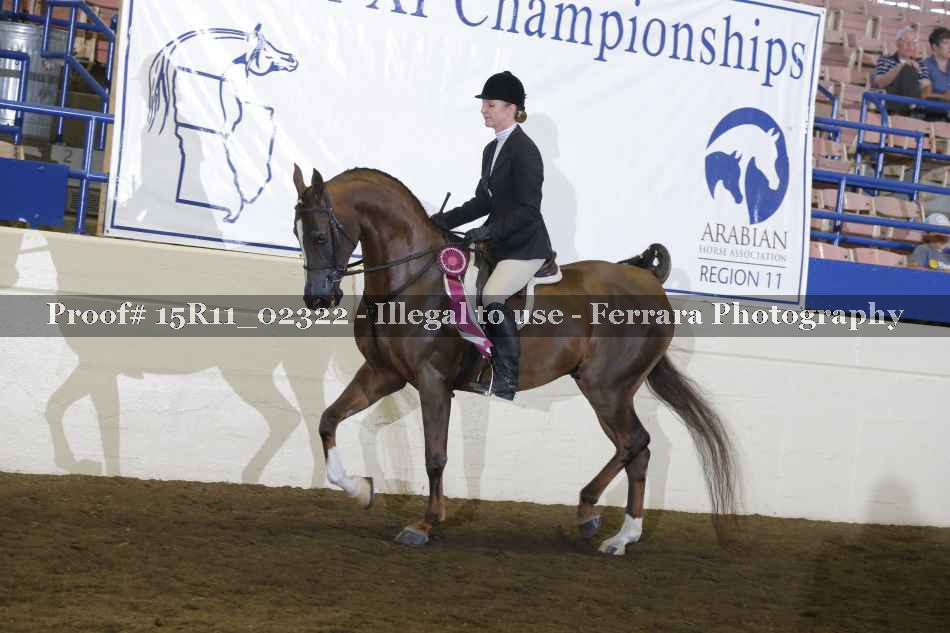 Proof Number 15R11_02322