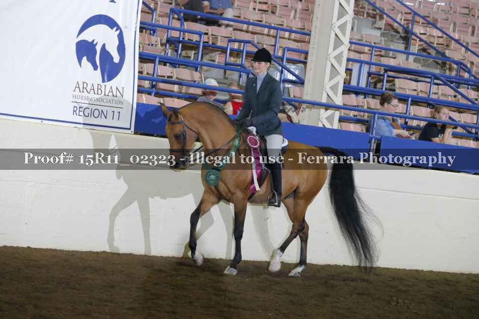 Proof Number 15R11_02323