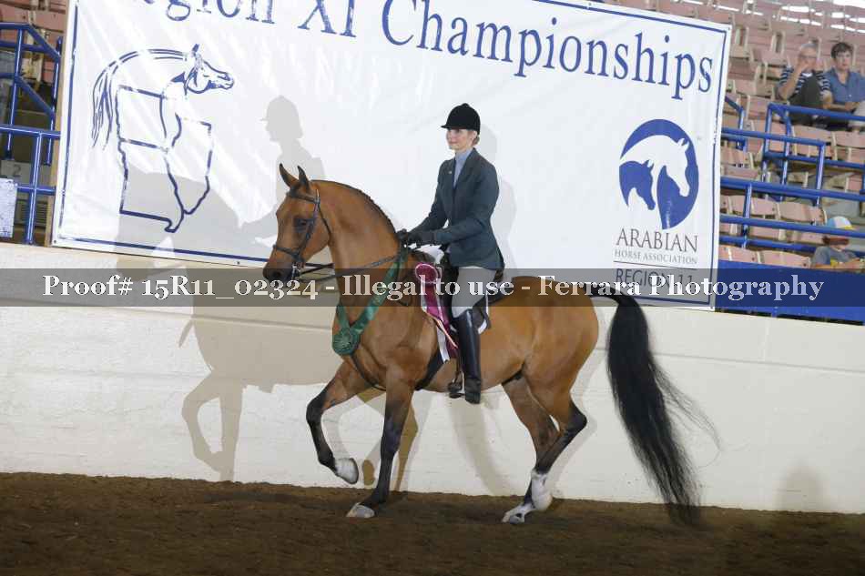 Proof Number 15R11_02324