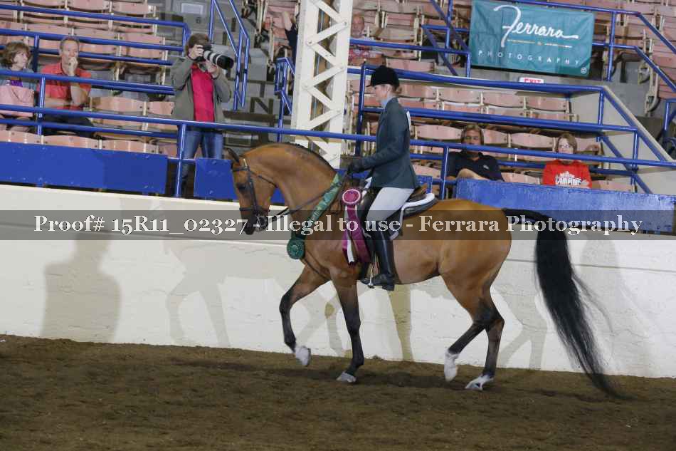 Proof Number 15R11_02327
