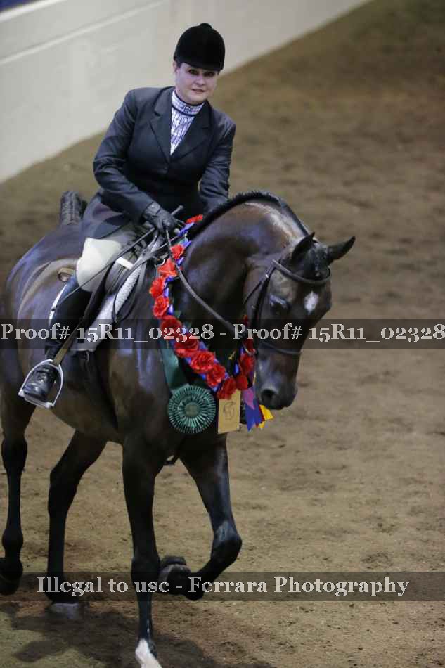 Proof Number 15R11_02328