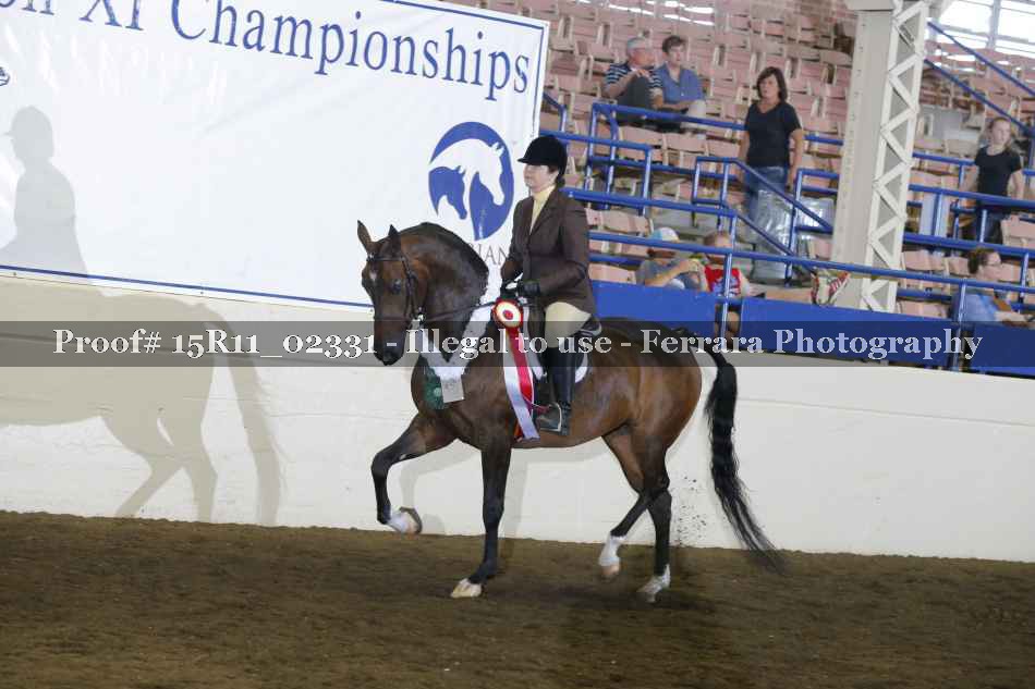 Proof Number 15R11_02331