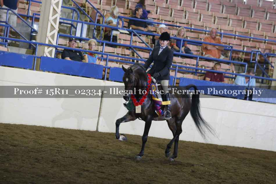 Proof Number 15R11_02334