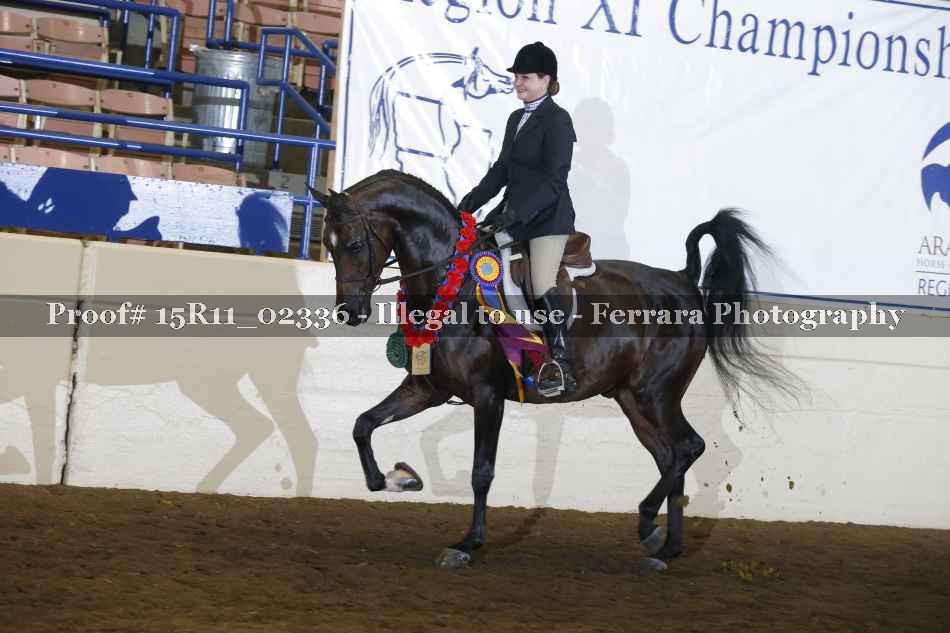 Proof Number 15R11_02336