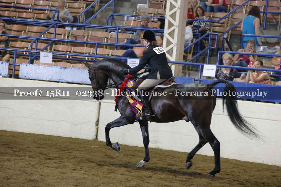 Proof Number 15R11_02338
