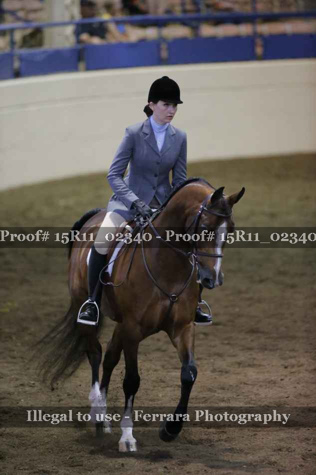 Proof Number 15R11_02340