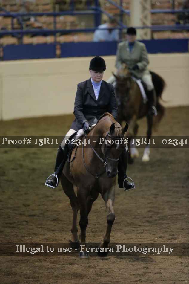 Proof Number 15R11_02341