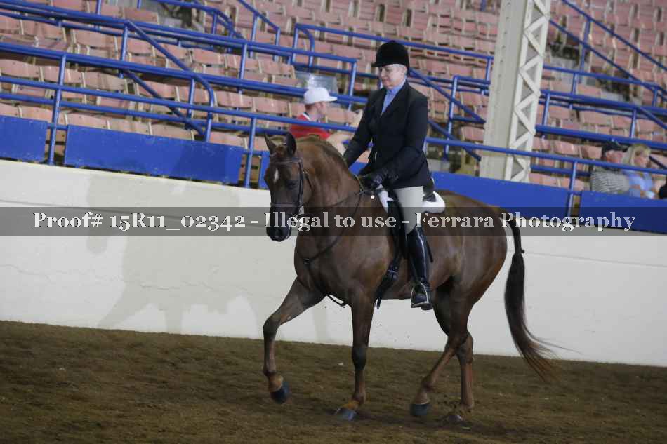 Proof Number 15R11_02342