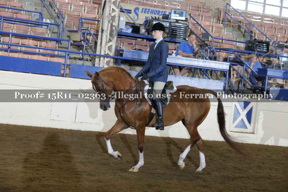 Proof Number 15R11_02363