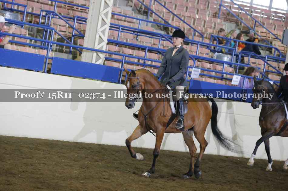 Proof Number 15R11_02374