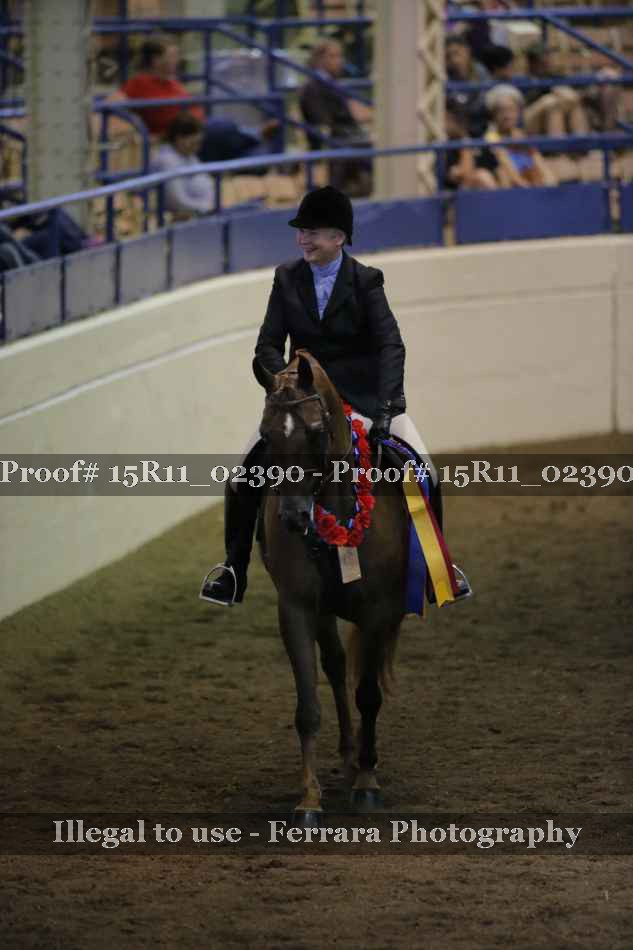 Proof Number 15R11_02390