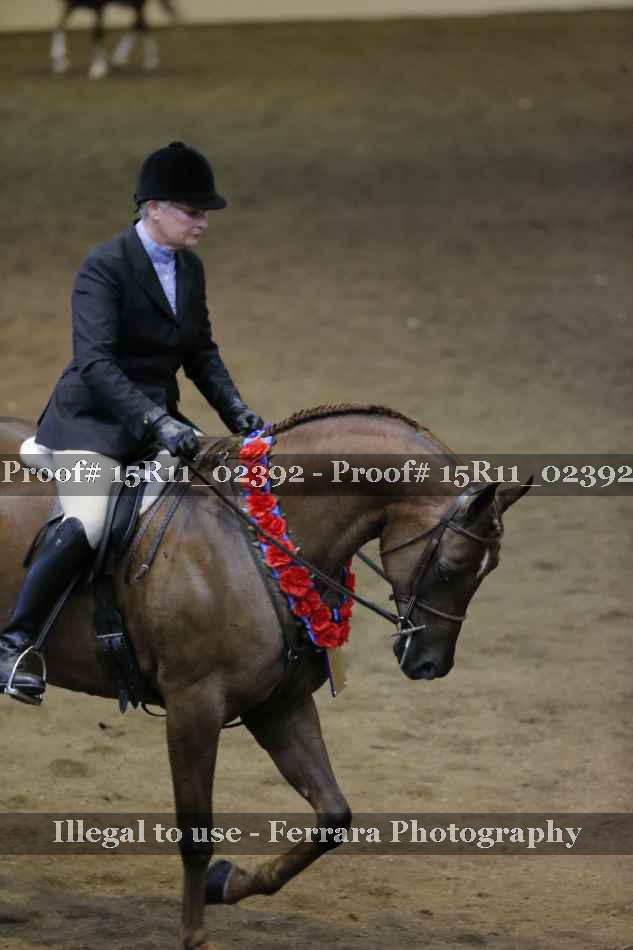 Proof Number 15R11_02392