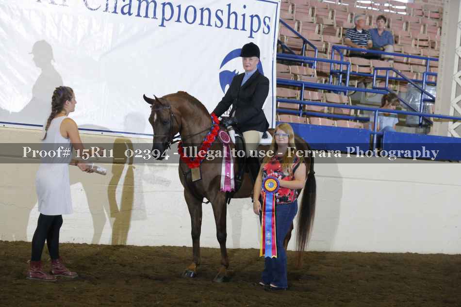 Proof Number 15R11_02394