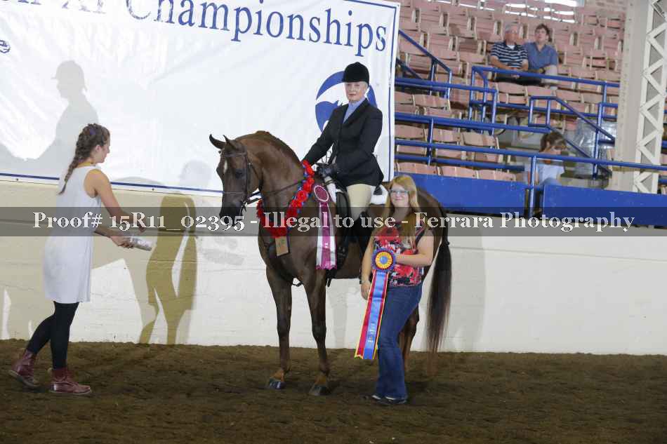 Proof Number 15R11_02395