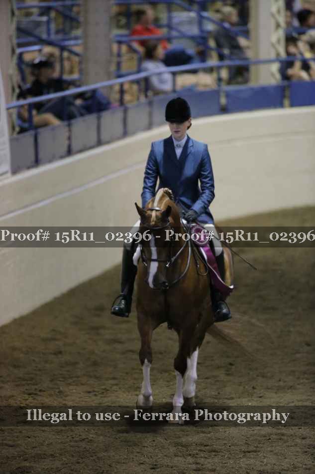 Proof Number 15R11_02396
