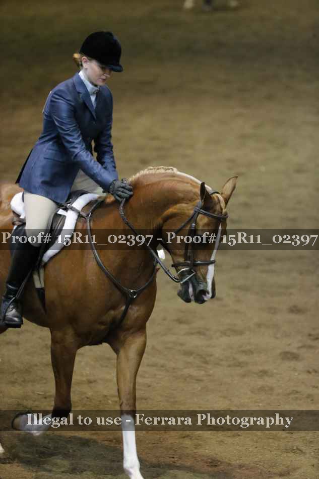 Proof Number 15R11_02397
