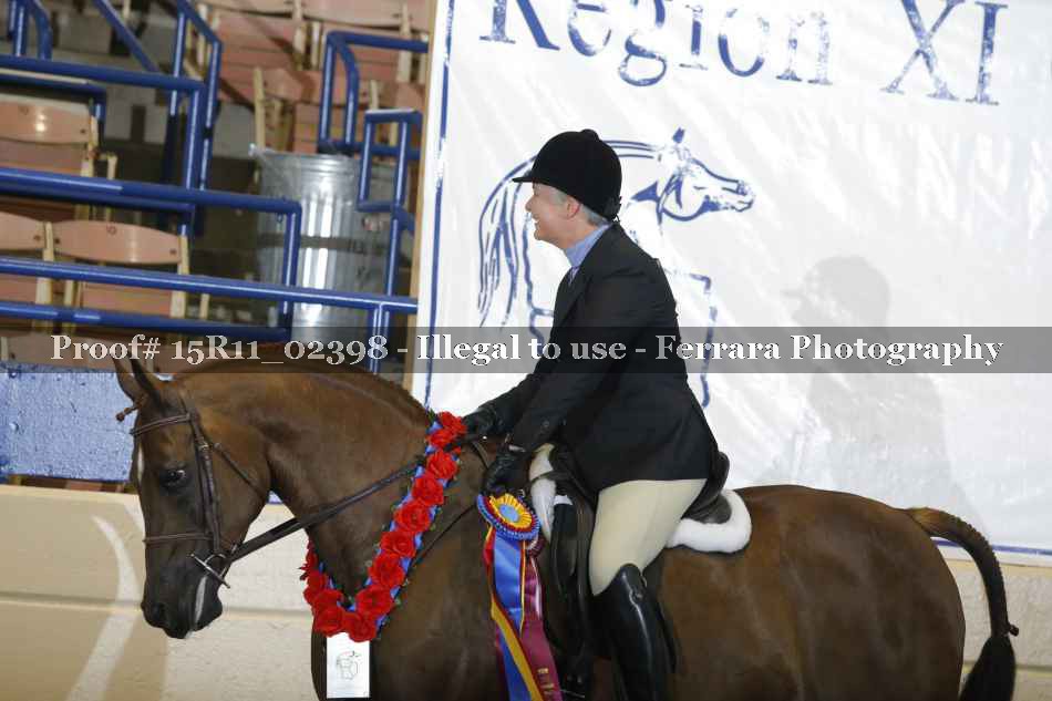 Proof Number 15R11_02398