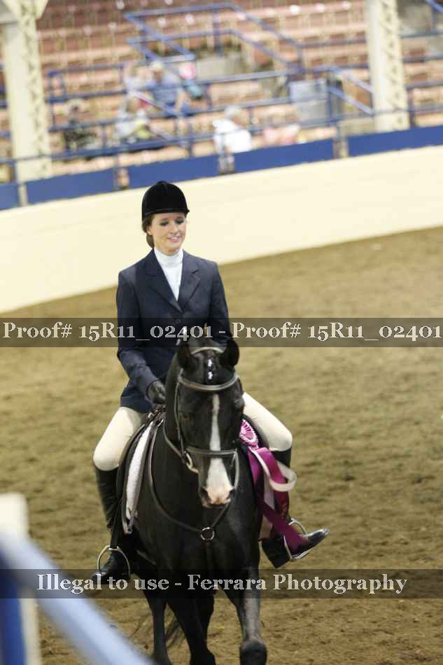 Proof Number 15R11_02401