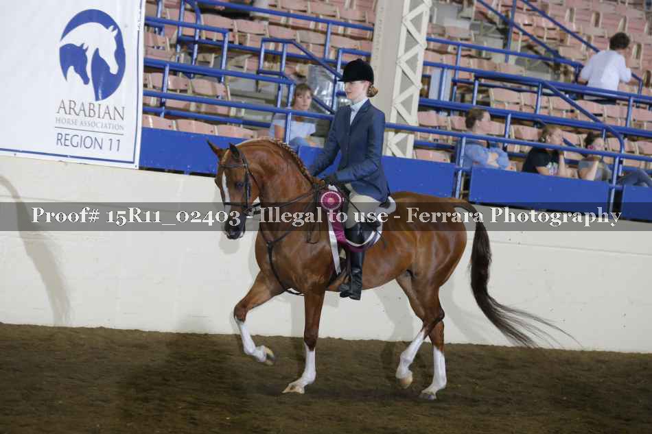 Proof Number 15R11_02403