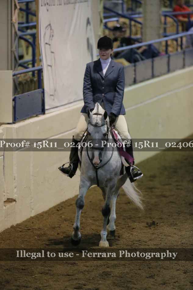 Proof Number 15R11_02406