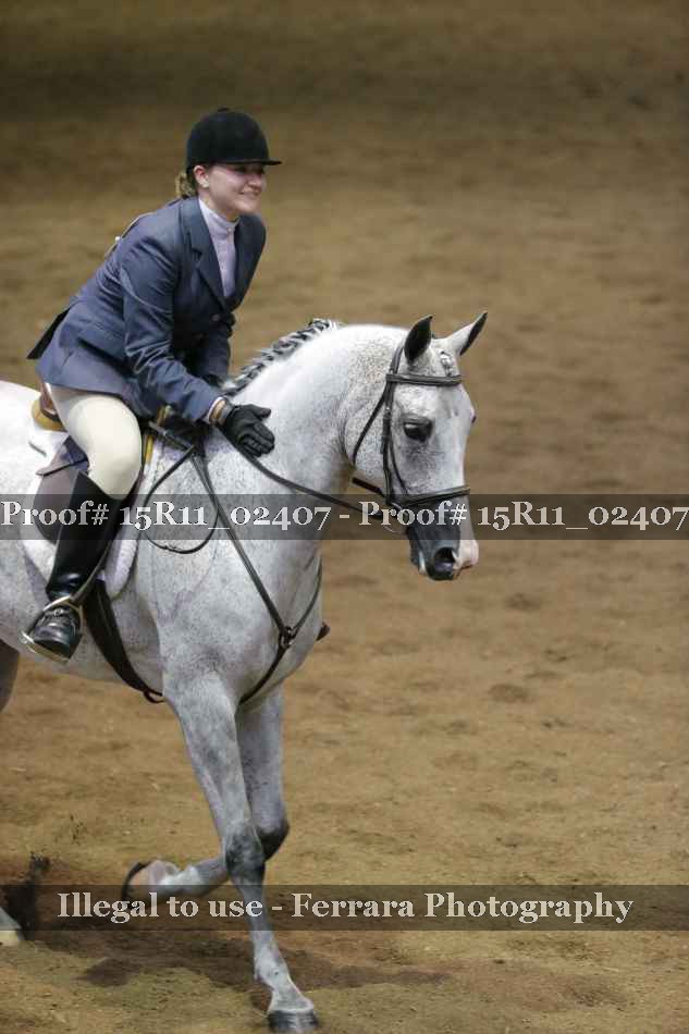 Proof Number 15R11_02407