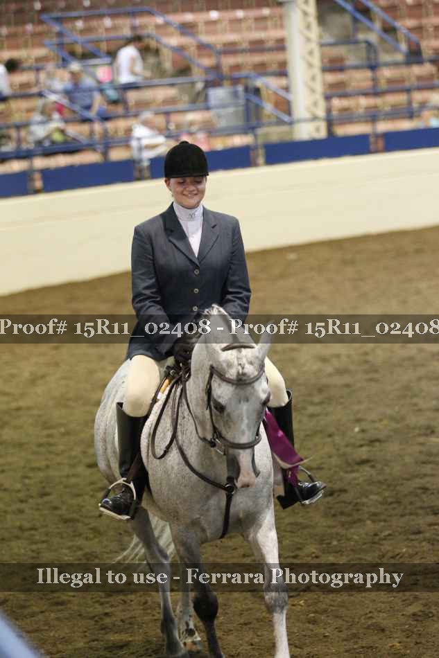 Proof Number 15R11_02408