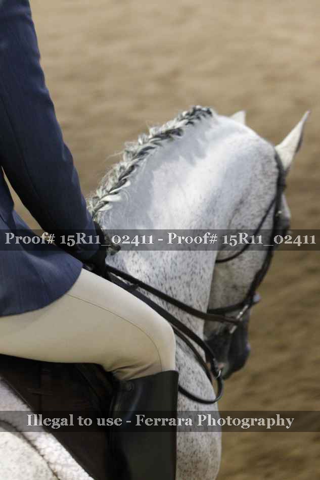 Proof Number 15R11_02411