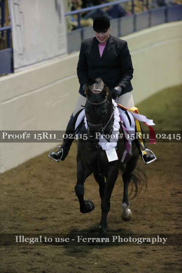 Proof Number 15R11_02415