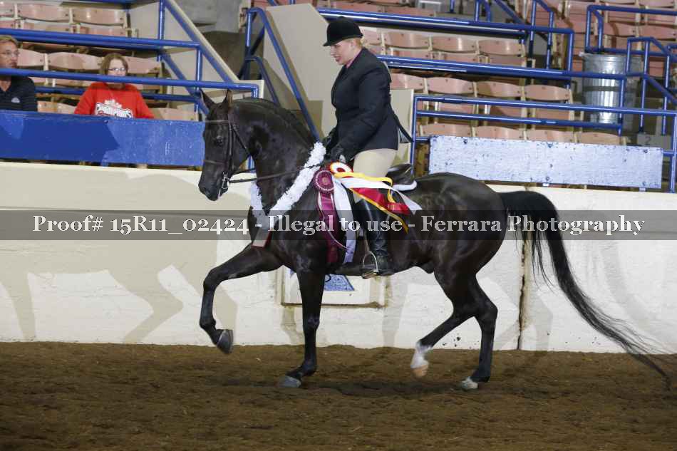 Proof Number 15R11_02424