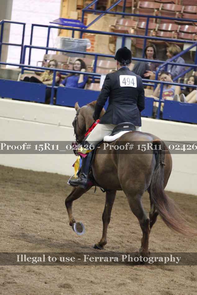 Proof Number 15R11_02426